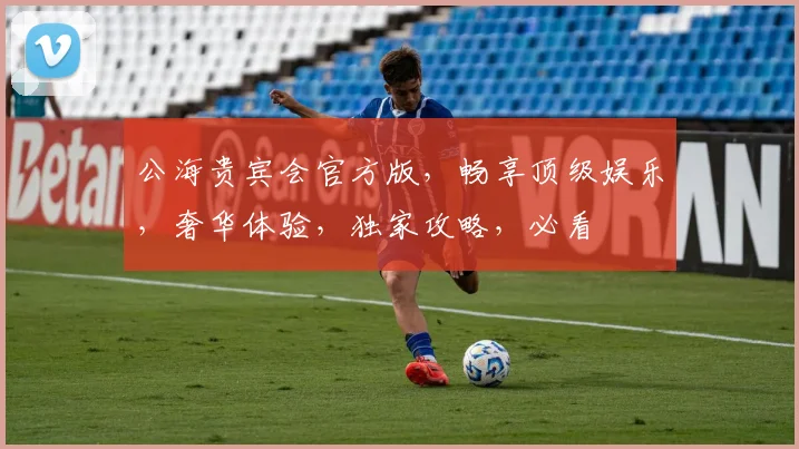 公海贵宾会官方版，畅享顶级娱乐，奢华体验，独家攻略，必看