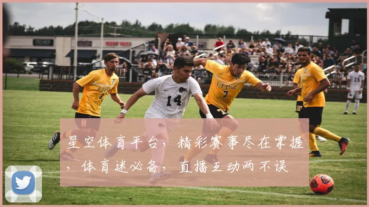 星空体育平台，精彩赛事尽在掌握，体育迷必备，直播互动两不误