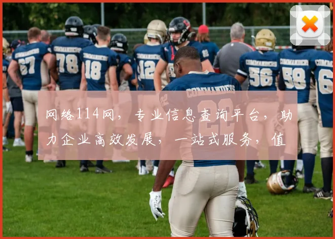 网络114网，专业信息查询平台，助力企业高效发展，一站式服务，值得信赖
