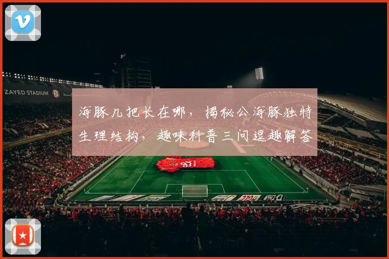 海豚几把长在哪，揭秘公海豚独特生理结构，趣味科普三问逗趣解答
