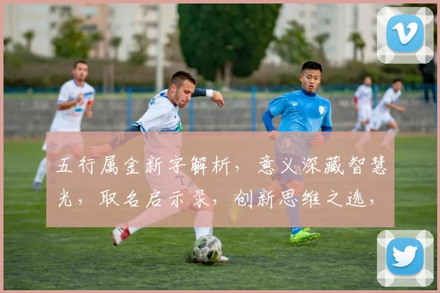 五行属金新字解析，意义深藏智慧光，取名启示录，创新思维之选，寓意非凡。